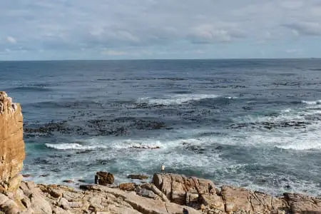 False Bay