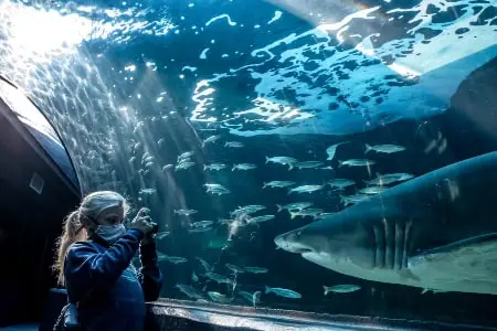 The Two Oceans Aquarium