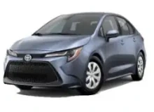 Vehicle Rental Premium