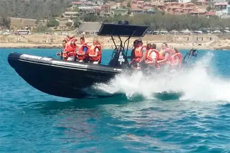 Wave Rider speeding over the waves