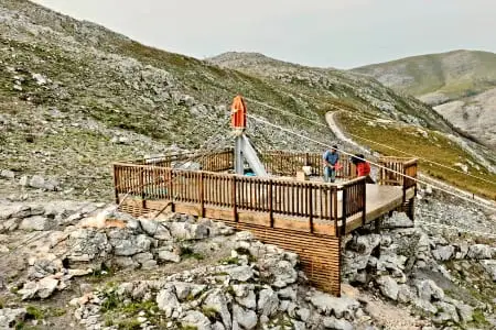 Ziplining - The Nest